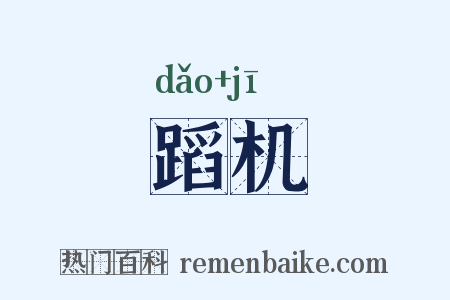 蹈机是什么意思的图片